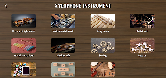 Xylophone Instrument