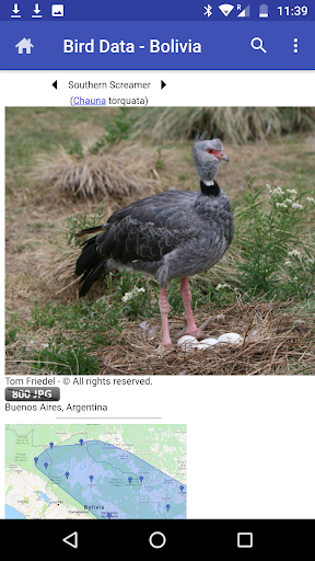 Bird Data - Bolivia Screen 2