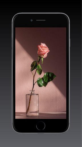 Rose Wallpaper HD, GIF Screen 2