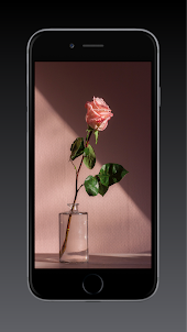 Rose Wallpaper HD, GIF