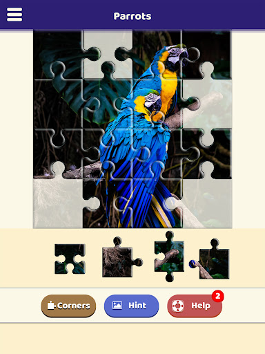 Parrot Love Puzzle