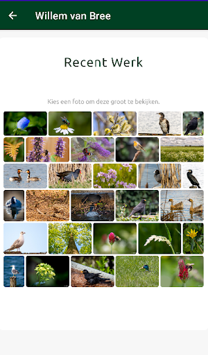 Willemvanbree.nl Screen 3