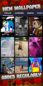 Captura de Pantalla 8 Fondo de pantalla de Bulldog android
