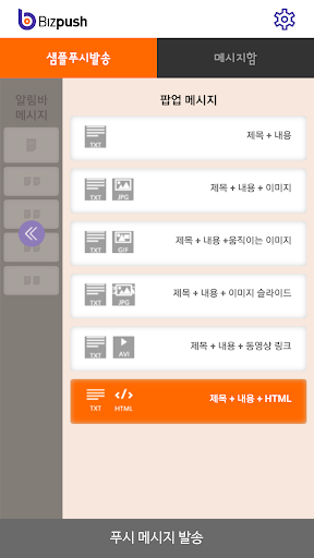 Bizpush Screen 3