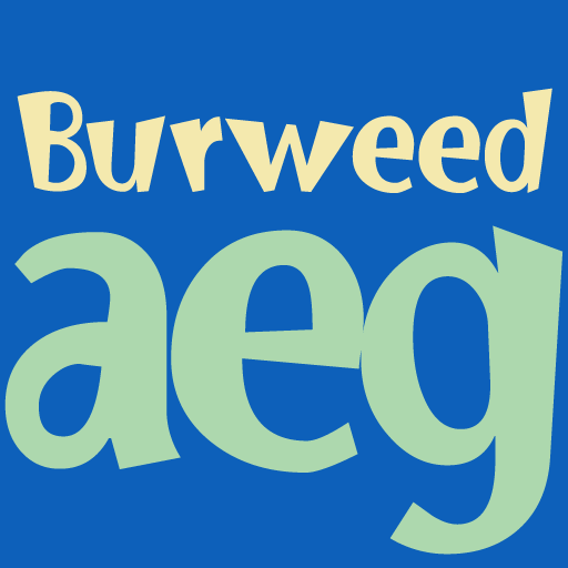 Burweed FlipFont logo