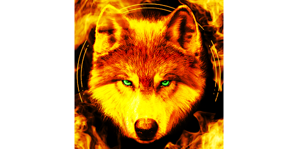 Fire Wallpaper Theme Lone Wolf – Apps on Google Play