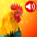 Herunterladen Animals: Ringtones Installieren Sie Neueste APK Downloader