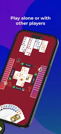 Game screenshot Fun Bridge hack