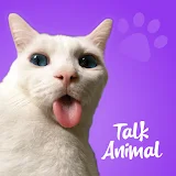 Talking Animals - Funny Voices icon