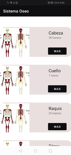 Huesos Screen 2