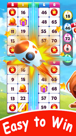 Game screenshot Crazy Bingo apk download