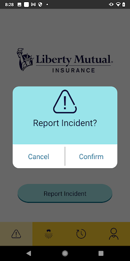 Liberty Mutual Cyber Response Screen 2