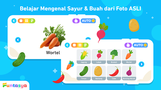 Belajar Buah Sayur Funtasya