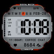 Classic Digital 027