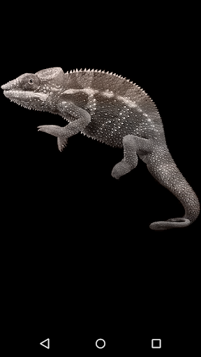 Chameleon Screen 3