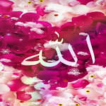 Cover Image of Download Allah Islamic Wallpaper  APK