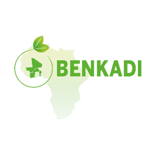 Programme BENKADI logo