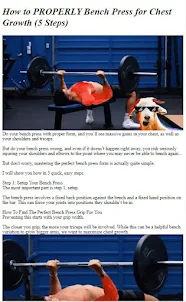 How to Do Bench Press Workout