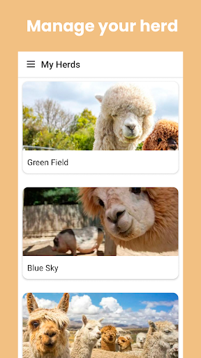 Android application Alpaca Guild screenshort