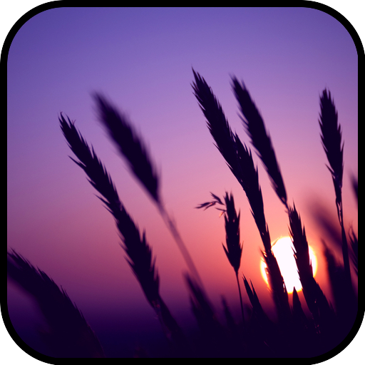 Sunset Wallpaper logo