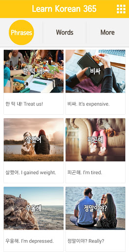 Android application Learn Korean 365 screenshort