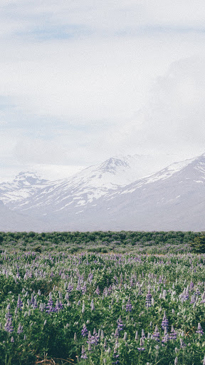 Android application mountain landscape wallpaper screenshort