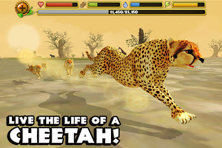 Cheetah Simulator APK