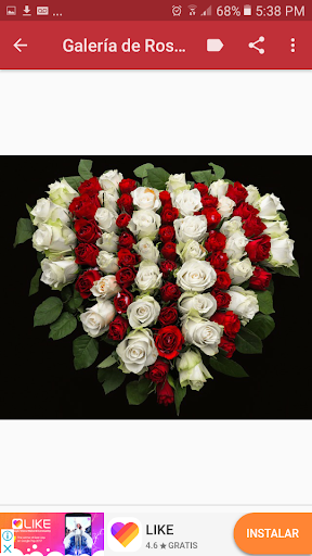 Android application Rosas Rojas de Amor screenshort