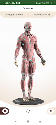Android application Trigger point - Bodymax screenshort
