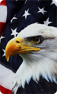 America Flag Wallpaper 4K