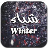 شتاء - Winter icon