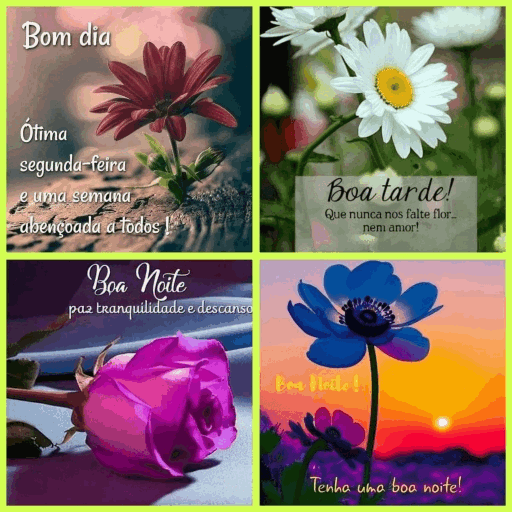 Bom Dia com flores