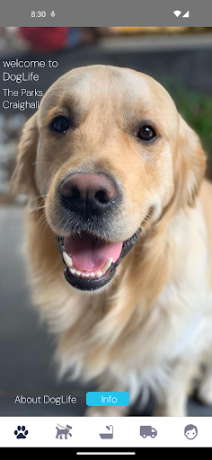 Android application DogLife screenshort