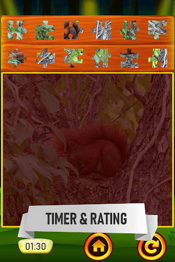 Squirrel Jigsaw Puzzle Game