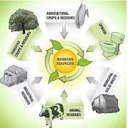 biogas from various wastes