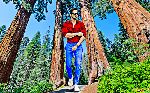 Tree photo editor and frames