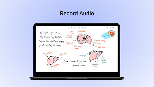 Screenshot of Noteshelf - Notes, Annotations