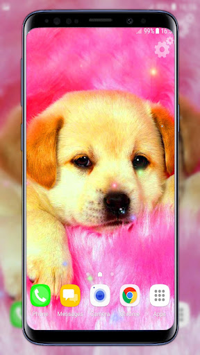 Cute Puppies Live Wallpaper Screenshot 2 - AppWisp.com