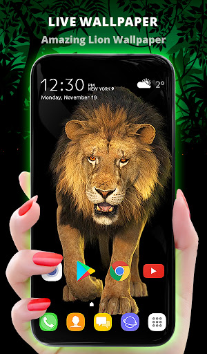 Anteprima dell'app