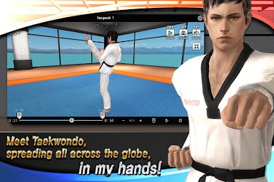 Taekwondo Poomsae Master