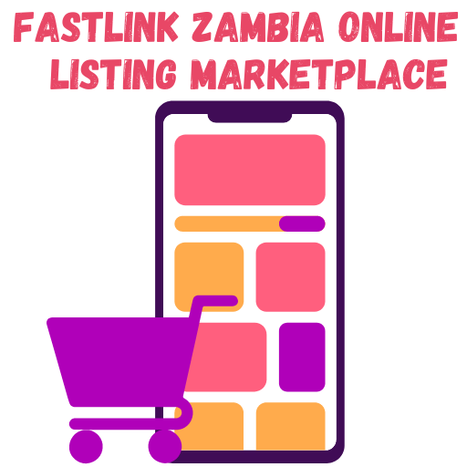 Fast Link Zambia Screen 2