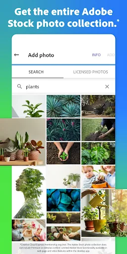 Adobe Express screenshot 5
