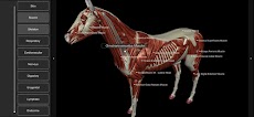 3D Horse Anatomyのおすすめ画像3
