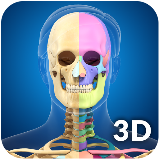 Skeleton Anatomy Pro.  Icon