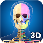 Top 25 Medical Apps Like Skeleton Anatomy Pro. - Best Alternatives