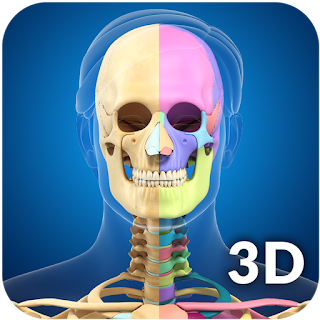 Skeleton Anatomy Pro. apk