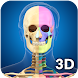 Skeleton Anatomy Pro. - Androidアプリ