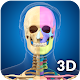 Skeleton Anatomy Pro. Скачать для Windows