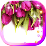 Tulips Dew Drops LWP icon