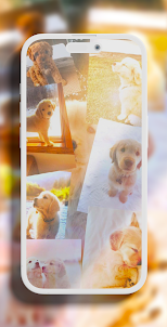 Puppy aesthetic wallpapers